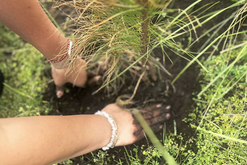 Sembrando conciencia desde pequeños: el compromiso ambiental también se enseña