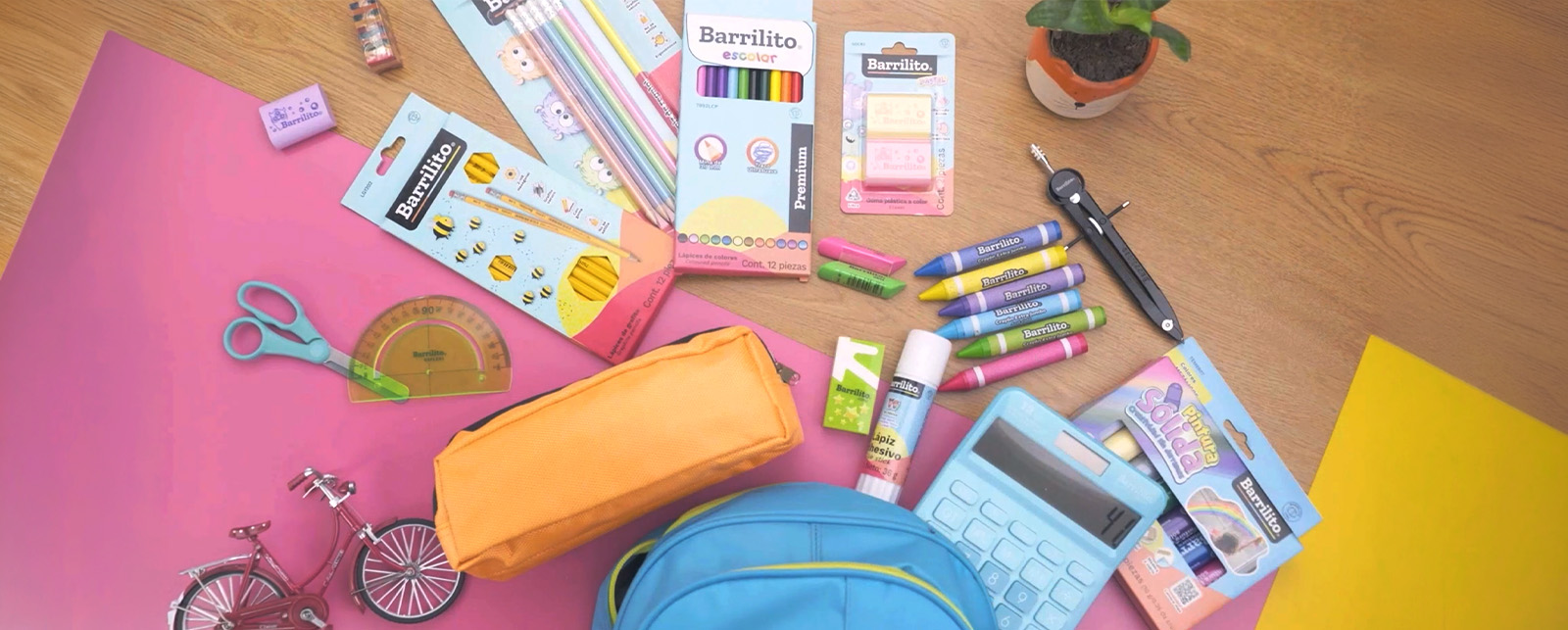 img-contenido