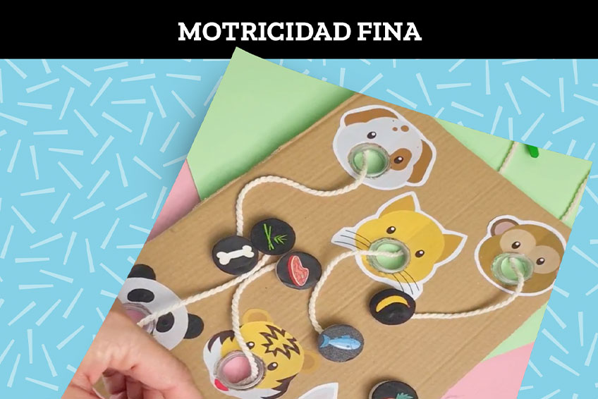 Dando de comer a los animalitos