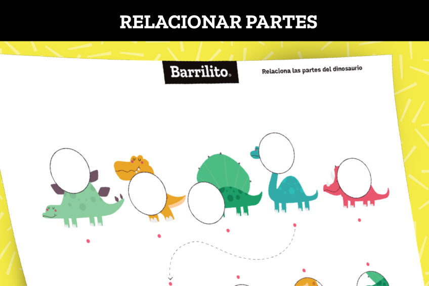 Relaciona las partes