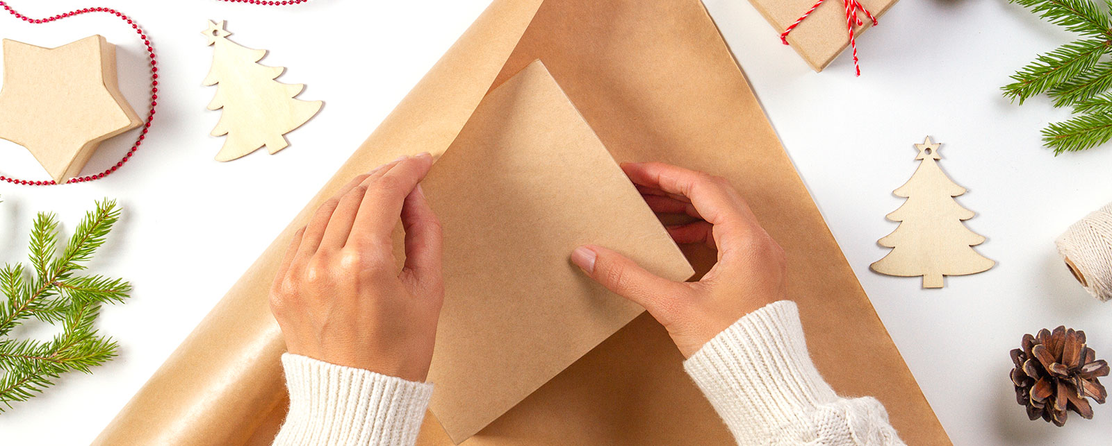 img-contenido